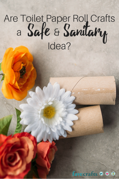 Are Toilet Paper Roll Crafts a Safe and Sanitary Idea?